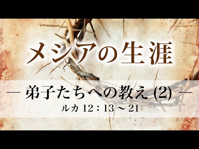 聖書　マタイ　マルコ　ヨハネ　ルカ　ユダの手紙　他　DVD　12巻セット マタイ伝福音書/マルコ伝福音書/ルカ伝福音書/使徒行伝 4冊／米国聖書