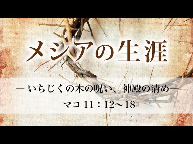 メシアの生涯 152 いちじくの木の呪い 神殿の清め マルコ11章 12 18 メッセージステーション