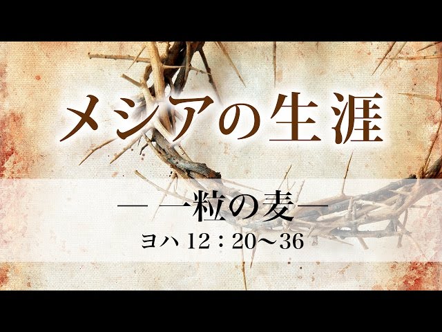 メシアの生涯 153 一粒の麦 ヨハネ12章 20 36 メッセージステーション