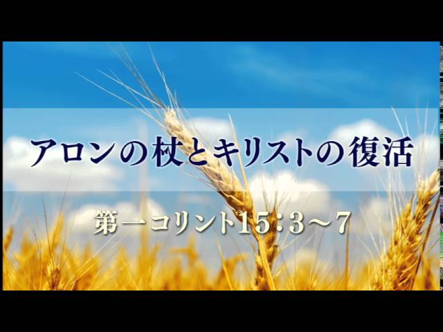 世紀末の国際関係 アロンの最後のメッセージ 世紀末の国際関係 アロンの最後のメッセージ
