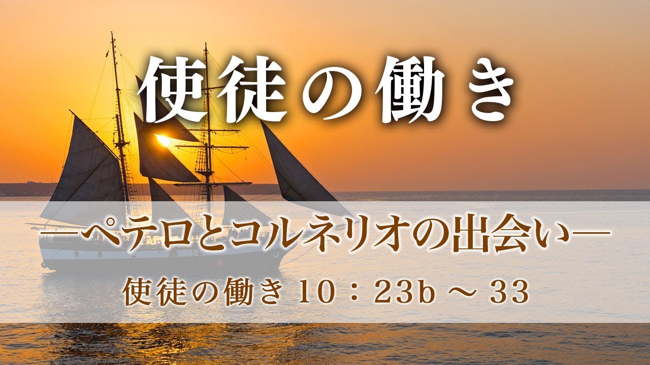 信の哲学 使徒パロウはどこまで共約可能か 上巻 下巻 セット