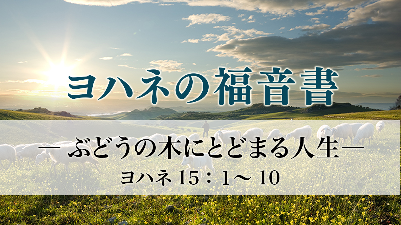 ヨハネの福音書/日本基督教団出版局/ルドルフ・カルル・ブルトマン（単行本） ヨハネの福音書 | R. ブルトマン, Bultmann,Rudolf, 助, 杉原
